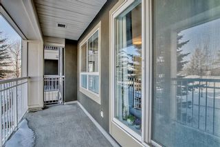 Photo 19: 211 35 Richard Court SW in Calgary: Lincoln Park Apartment for sale : MLS®# A2033165