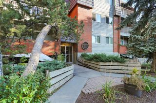 Photo 4: 307 222 5 Avenue NE in Calgary: Crescent Heights Apartment for sale : MLS®# A2002461