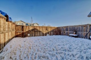 Photo 28: 243 New Brighton Landing SE in Calgary: New Brighton Detached for sale : MLS®# A2031957