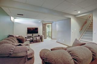 Photo 16: 24 Scenic Hill Close NW in Calgary: Scenic Acres Detached for sale : MLS®# A2023303