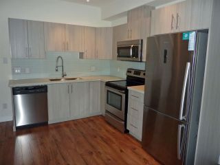 Photo 3: 214 12070 227 Street in Maple Ridge: East Central Condo for sale in "STATION ONE" : MLS®# R2120958