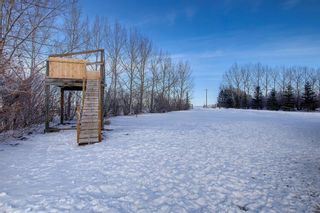 Photo 44: 10213 twshp rd 284A: Crossfield Detached for sale : MLS®# A1188532