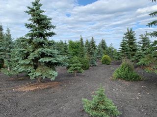 Photo 13: 0 Hay Road: Gonor Residential for sale (R02)  : MLS®# 202311966