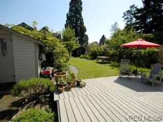 Photo 14: 1315 Balmoral Rd in VICTORIA: Vi Fernwood House for sale (Victoria)  : MLS®# 504233