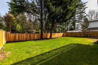 Photo 19: 3524 CARLISLE Street in Port Coquitlam: Woodland Acres PQ House for sale : MLS®# R2166902