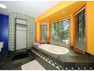Photo 12: 13013 DEGRAFF Road in Mission: Durieu House for sale : MLS®# F1409910