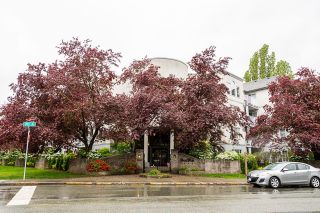 Photo 5: 211 5465 201 Street in Langley: Langley City Condo for sale in "Briarwood" : MLS®# R2878971