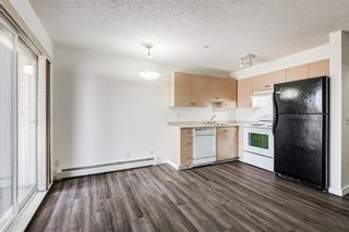 Photo 17: 3209 1620 70 Street SE in Calgary: Applewood Park Apartment for sale : MLS®# A1116068