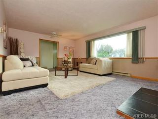 Photo 3: 1550 Pearl St in VICTORIA: Vi Hillside House for sale (Victoria)  : MLS®# 746344