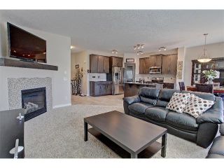 Photo 8: 258 HILLCREST Circle SW: Airdrie House for sale : MLS®# C4016316