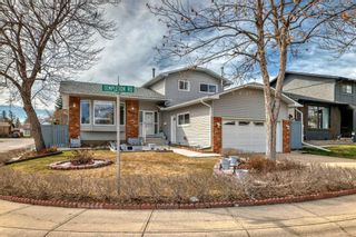 Main Photo: 403 Templeton Road NE in Calgary: Temple Detached for sale : MLS®# A2122991