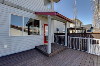 Photo 45: 204 Prestwick Mews SE in Calgary: McKenzie Towne Detached for sale : MLS®# A1216863