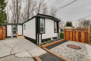 Photo 33: 3 32380 LOUGHEED Highway in Mission: Mission BC Manufactured Home for sale in "The Grove Mobile Home Park" : MLS®# R2558869