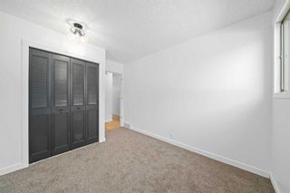 Photo 14: 343 Pinetree Road NE in Calgary: Pineridge Detached for sale : MLS®# A2129760