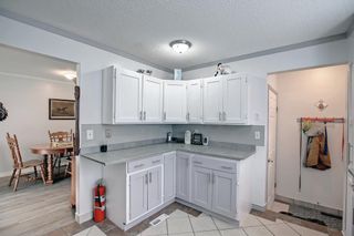 Photo 16: 23 Emberdale Way SE: Airdrie Detached for sale : MLS®# A2022990