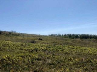 Photo 9: 306 Avenue W: Rural Foothills County Residential Land for sale : MLS®# A2084312