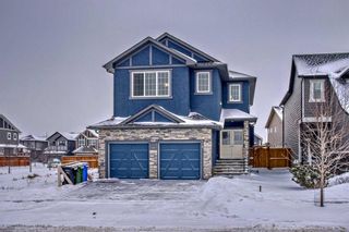 Photo 46: 408 Legacy View SE in Calgary: Legacy Detached for sale : MLS®# A2100646