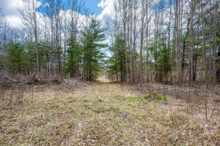 Photo 4: Lot 2021 Central Avenue in Greenwood: Kings County Vacant Land for sale (Annapolis Valley)  : MLS®# 202407909