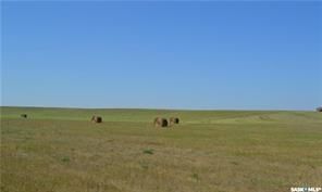 Photo 5: 6 Quarters Land in Elmsthorpe: Farm for sale (Elmsthorpe Rm No. 100)  : MLS®# SK914850