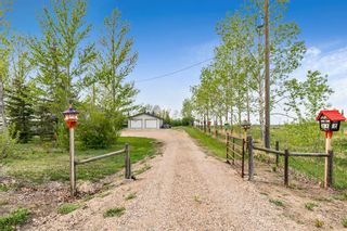 Photo 7: 175006 Range Road 214: Rural Vulcan County Detached for sale : MLS®# A2046663