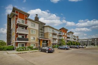 Photo 1: 7205 302 Skyview Ranch Drive NE in Calgary: Skyview Ranch Apartment for sale : MLS®# A2052941