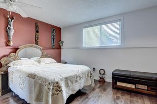 Photo 19: 1456 LAKE MICHIGAN CR SE in Calgary: Bonavista Downs House for sale : MLS®# C4260817