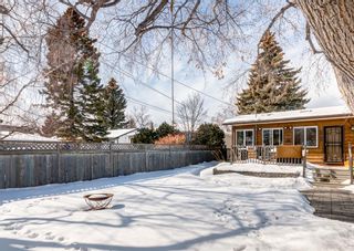 Photo 41: 1604 21A Street NW in Calgary: Hounsfield Heights/Briar Hill Detached for sale : MLS®# A2032588
