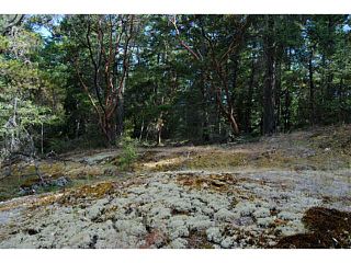 Photo 8: LOT 3 SUNSHINE COAST HIGHWAY in Halfmoon Bay: Halfmn Bay Secret Cv Redroofs Land for sale in "Woodbay" (Sunshine Coast)  : MLS®# V1128237