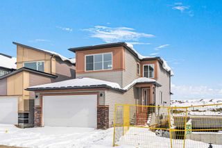 Photo 37: 46 Belvedere Green SE in Calgary: Belvedere Detached for sale : MLS®# A2113199