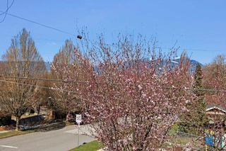 Photo 20: 3702 SLOCAN Street in Vancouver: Renfrew Heights House for sale in "Renfrew Heights" (Vancouver East)  : MLS®# R2755803