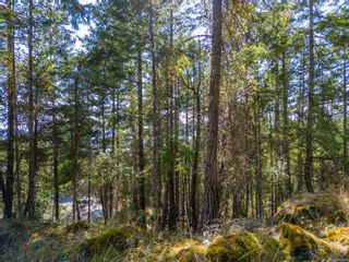 Photo 7: Lot 17 Sextant Cres in Pender Island: GI Pender Island Land for sale (Gulf Islands)  : MLS®# 966645