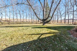 Photo 41: 266049 80 Street W: Rural Foothills County Detached for sale : MLS®# A1156585