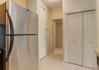 Photo 8: 409 880 Centre Avenue NE in Calgary: Bridgeland/Riverside Apartment for sale : MLS®# A1152548