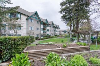 Photo 2: 211 290 Island Hwy in VICTORIA: VR View Royal Condo for sale (View Royal)  : MLS®# 783797
