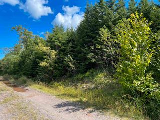 Photo 10: Lot 2 MacLean Road in Hunters Mountain: 209-Victoria County / Baddeck Vacant Land for sale (Cape Breton)  : MLS®# 202317840