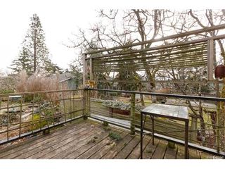Photo 17: 991 Lavender Ave in VICTORIA: SW Marigold House for sale (Saanich West)  : MLS®# 748904