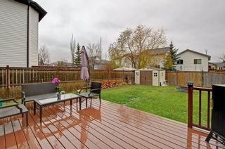 Photo 28: 212 MT APEX Green SE in Calgary: McKenzie Lake House for sale : MLS®# C4144299