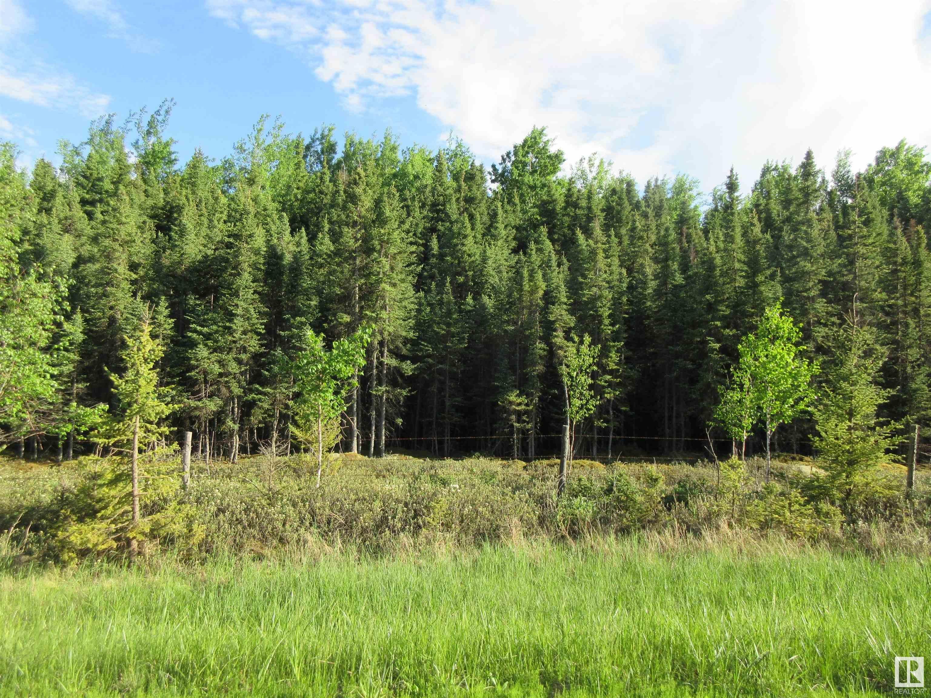 Main Photo: RR 223 Twp Rd 612: Rural Thorhild County Rural Land/Vacant Lot for sale : MLS®# E4299650