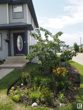 Photo 40: 3768 20 Street in Edmonton: Zone 30 House for sale : MLS®# E4384818