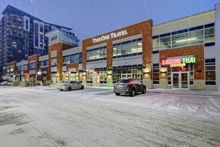 Photo 43: 1008 8880 Horton Road SW in Calgary: Haysboro Apartment for sale : MLS®# A1169538