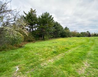 Photo 18: 927 Highway 203 in Lower Ohio: 407-Shelburne County Vacant Land for sale (South Shore)  : MLS®# 202319922