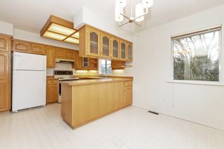 Photo 15: 11905 248 Street in Maple Ridge: Websters Corners House for sale : MLS®# R2662779