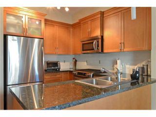 Photo 7: 253 FURNESS Street in New Westminster: Queensborough 1/2 Duplex for sale in "RED BOAT" : MLS®# V1075171