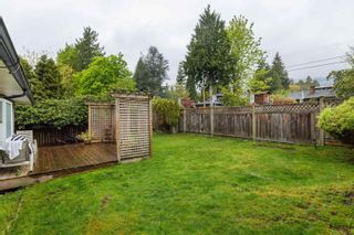 Photo 24: 1404 FULTON Avenue in West Vancouver: Ambleside House for sale : MLS®# R2878285