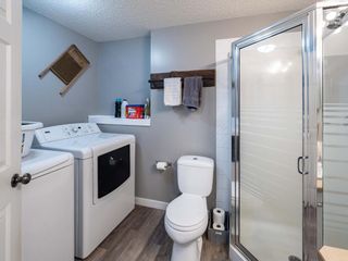 Photo 24: 139 Springs Crescent SE: Airdrie Detached for sale : MLS®# A1065825