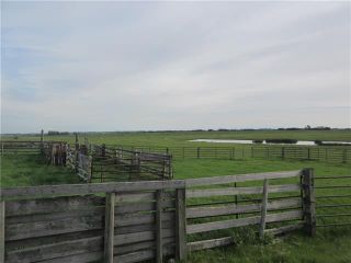 Photo 7: 250 Range RD: Rural Wheatland County Land for sale : MLS®# C4302878