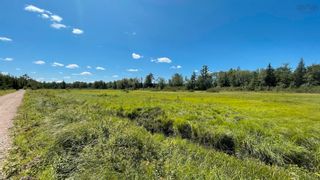 Photo 8: Lot New Albany in New Albany: Annapolis County Vacant Land for sale (Annapolis Valley)  : MLS®# 202219396
