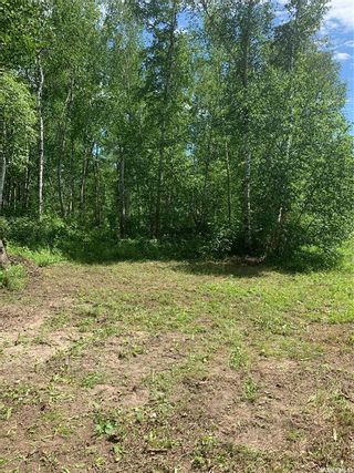 Photo 9: 0 Pineridge Drive in Canwood: Lot/Land for sale (Canwood Rm No. 494)  : MLS®# SK924387