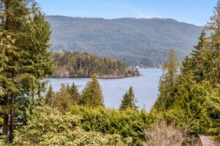 Photo 39: 3543 BEDWELL BAY Road: Belcarra House for sale (Port Moody)  : MLS®# R2873004