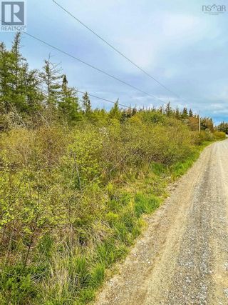 Photo 9: Lot 101 Long Cove Road in Port Medway: Vacant Land for sale : MLS®# 202304042